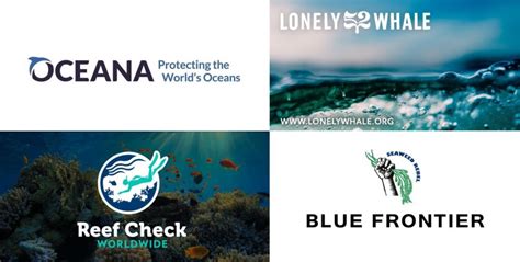 best ocean conservation charities|9 Best Charities for Marine Conservation (Complete .